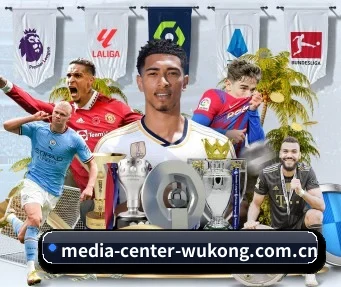 国际化进程(wukongsports)