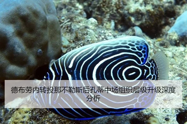 德布劳内转投那不勒斯后孔蒂中场组织层级升级深度分析